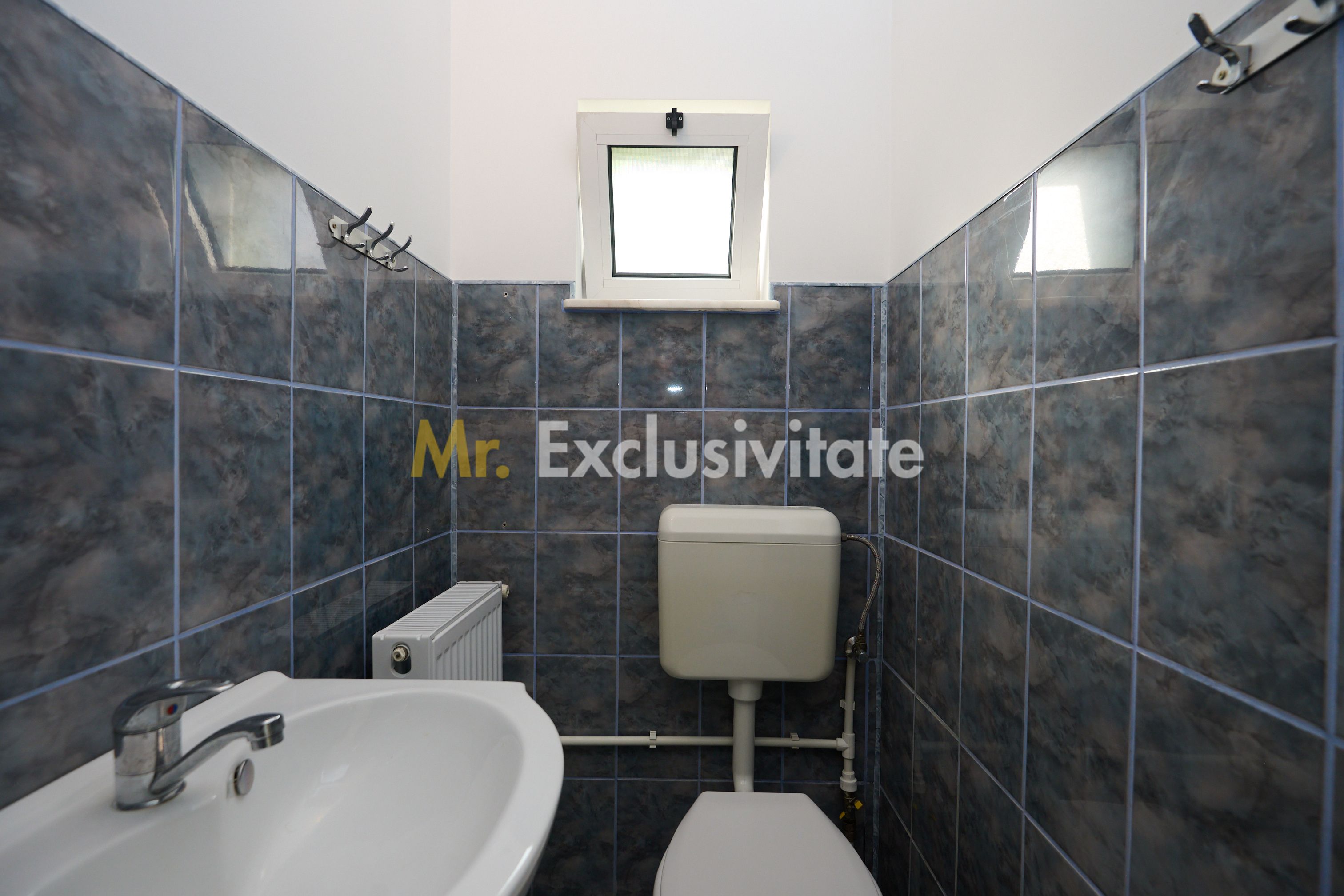 Casă rară în Găvana | Vecină cu pădurea, aproape de toate facilitățile — fotografia 18