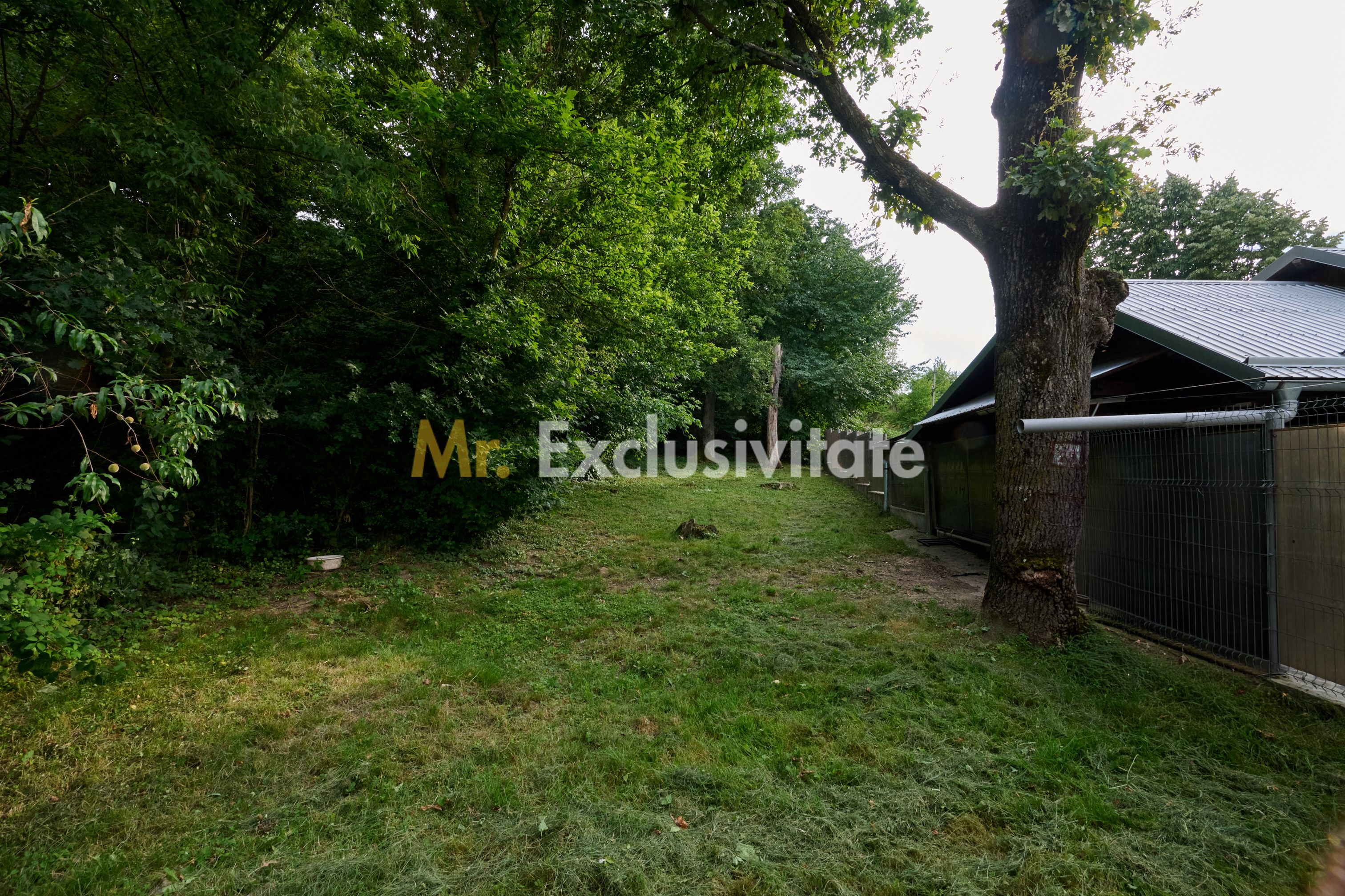 Casă rară în Găvana | Vecină cu pădurea, aproape de toate facilitățile — fotografia 21