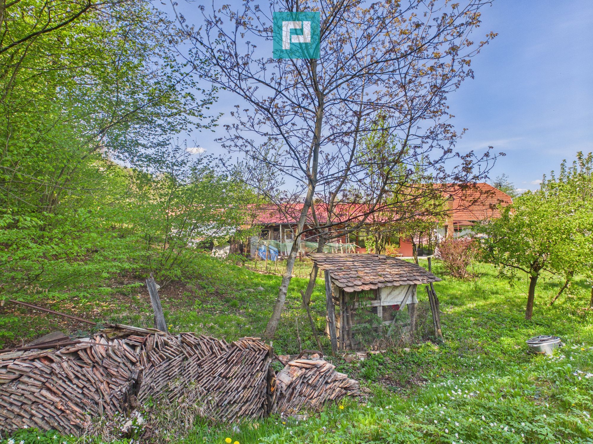 Casă Câmpani, 8000 mp teren, la poalele Apusenilor — fotografia 5
