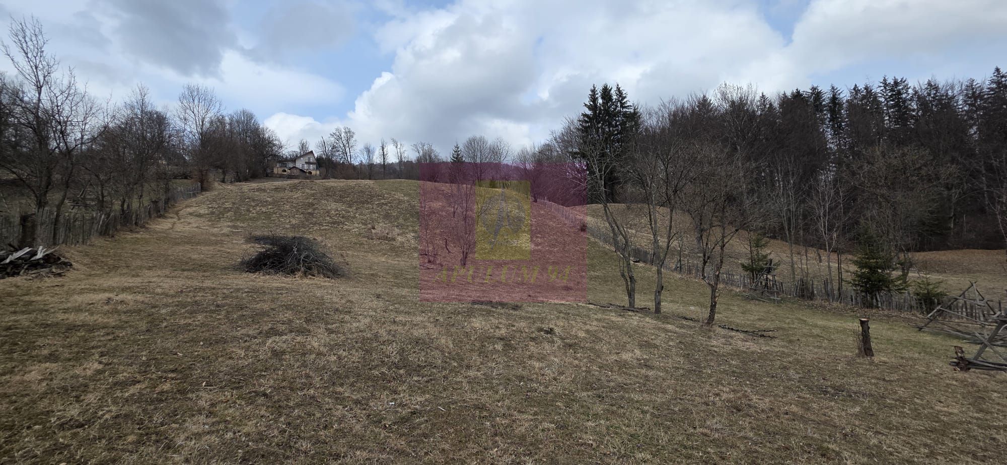 Teren intravilan de vanzare in Valea Doftanei — fotografia 4