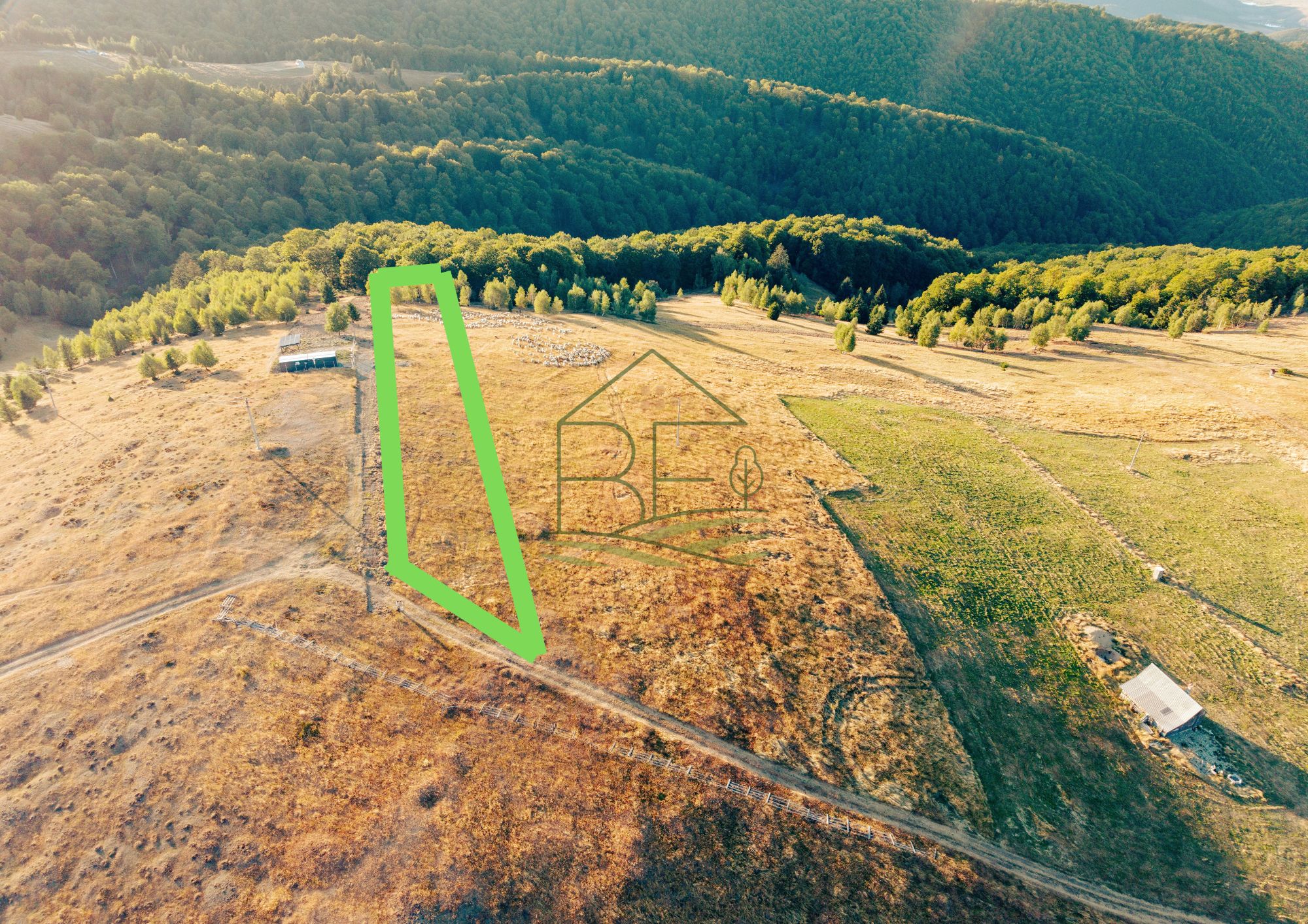 Păltiniș - Teren cu perspectivă panoramică pentru un refugiu în natură