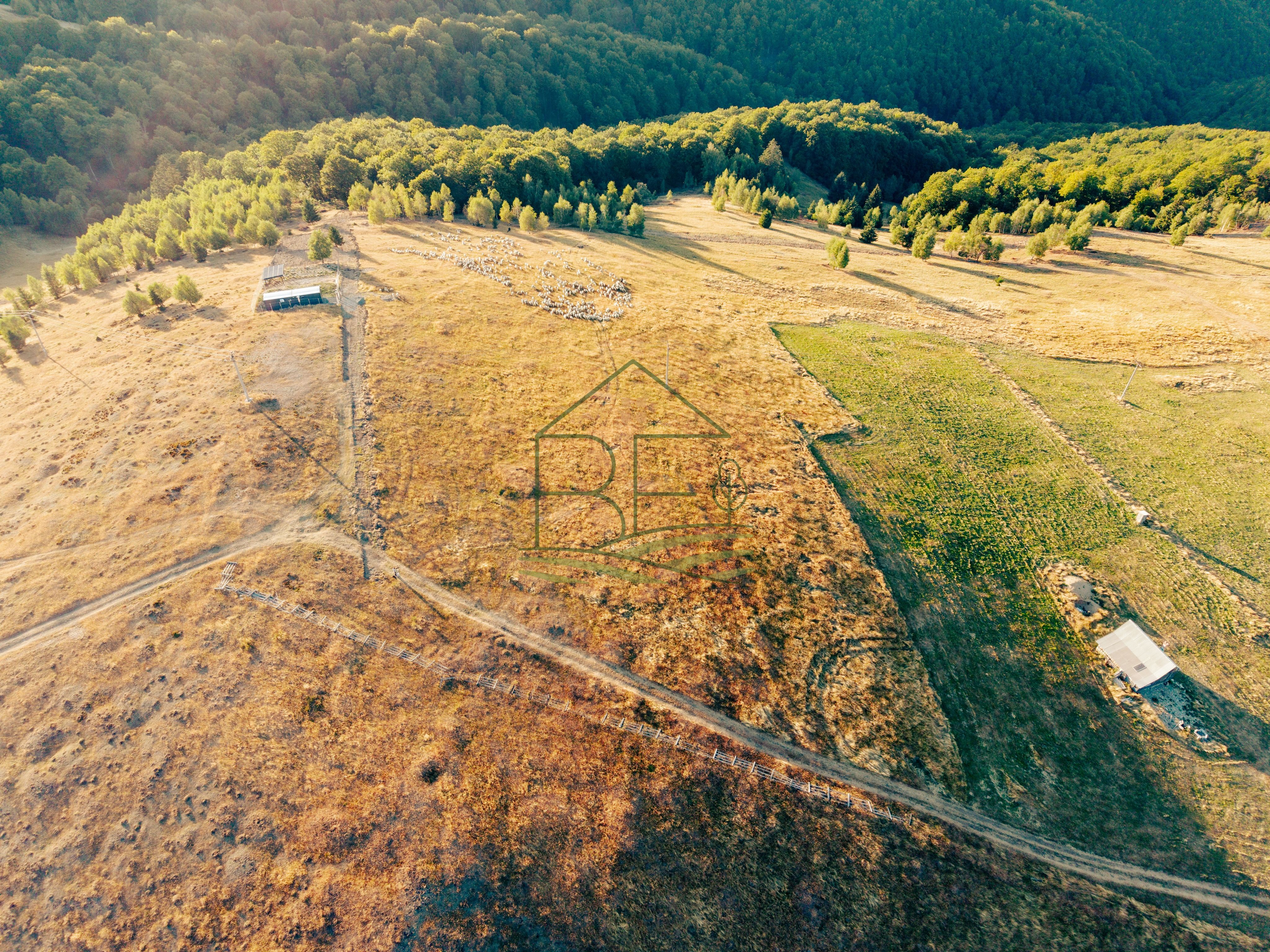 Păltiniș - Teren cu perspectivă panoramică pentru un refugiu în natură — fotografia 3