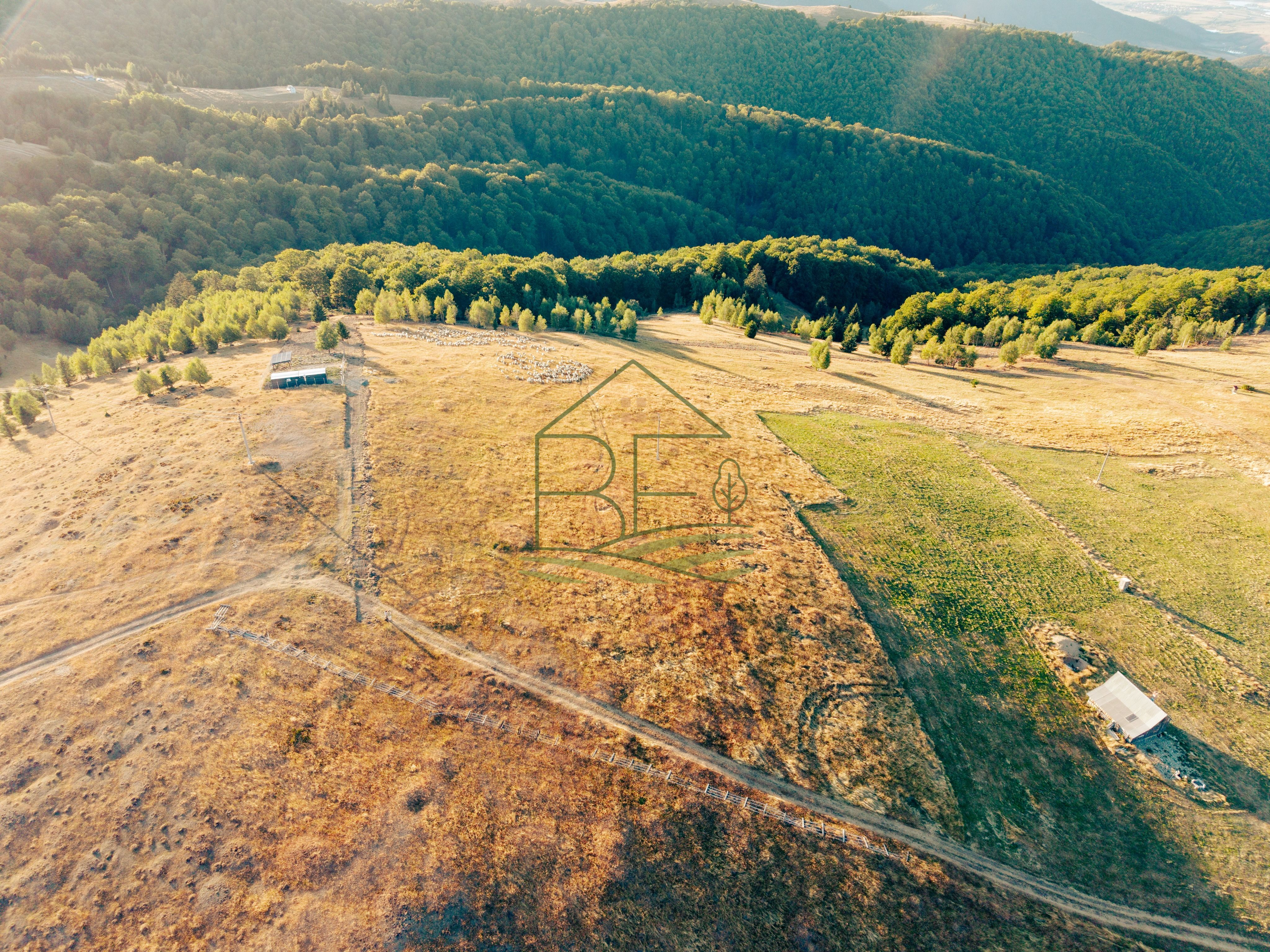 Păltiniș - Teren cu perspectivă panoramică pentru un refugiu în natură — fotografia 4