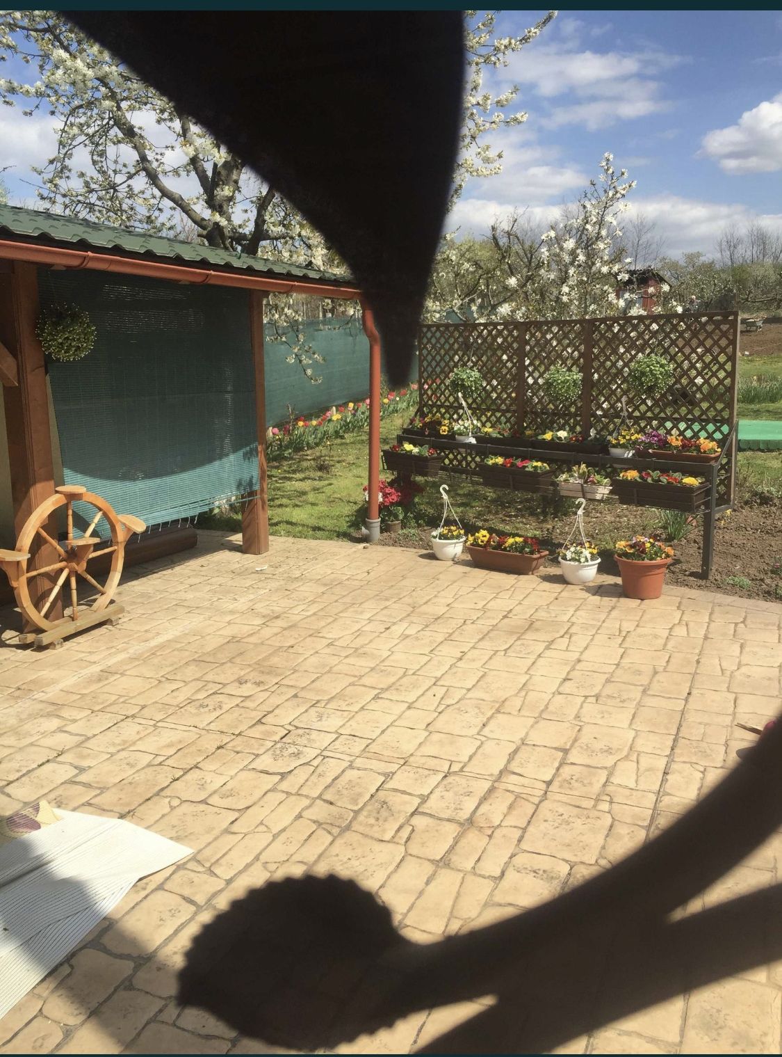 Casa la cheie 4 camere Carei gradina viilor — fotografia 5