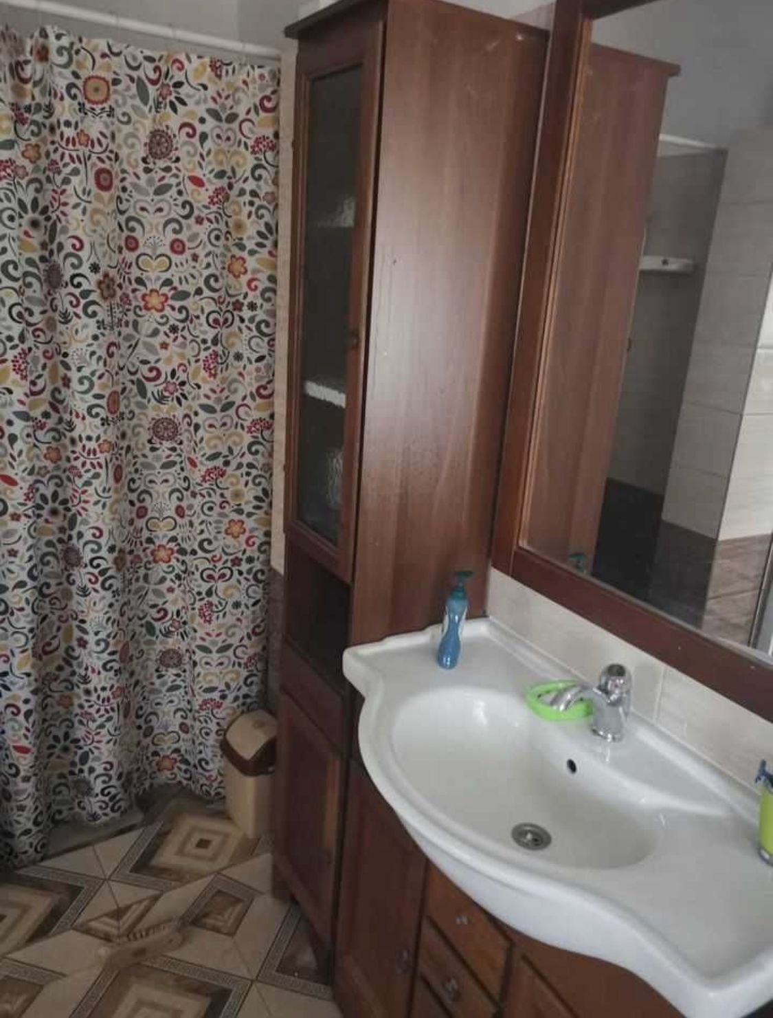 Casa la cheie 4 camere Carei gradina viilor — fotografia 6