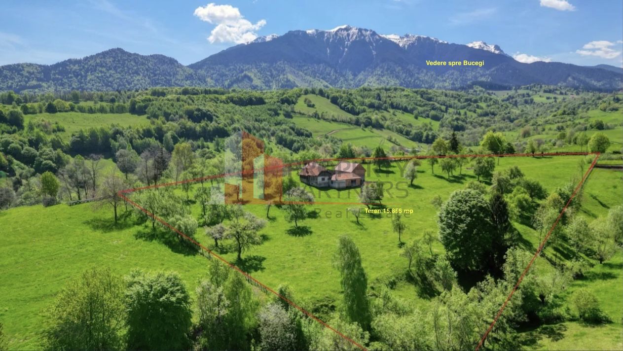 Teren 15.856 mp în Bran Sohodol | Ideal dezvoltare turistică — fotografia 2