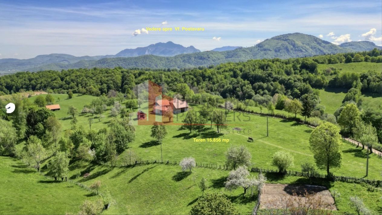 Teren 15.856 mp în Bran Sohodol | Ideal dezvoltare turistică — fotografia 5