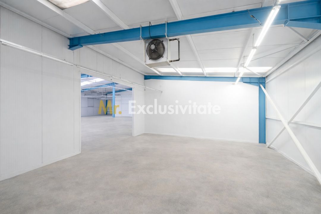 HALA INDUSTRIALA 595 MP | DN 65B – BRADU | CURTE 1.466 MP | AUTOSTRADA — fotografia 8