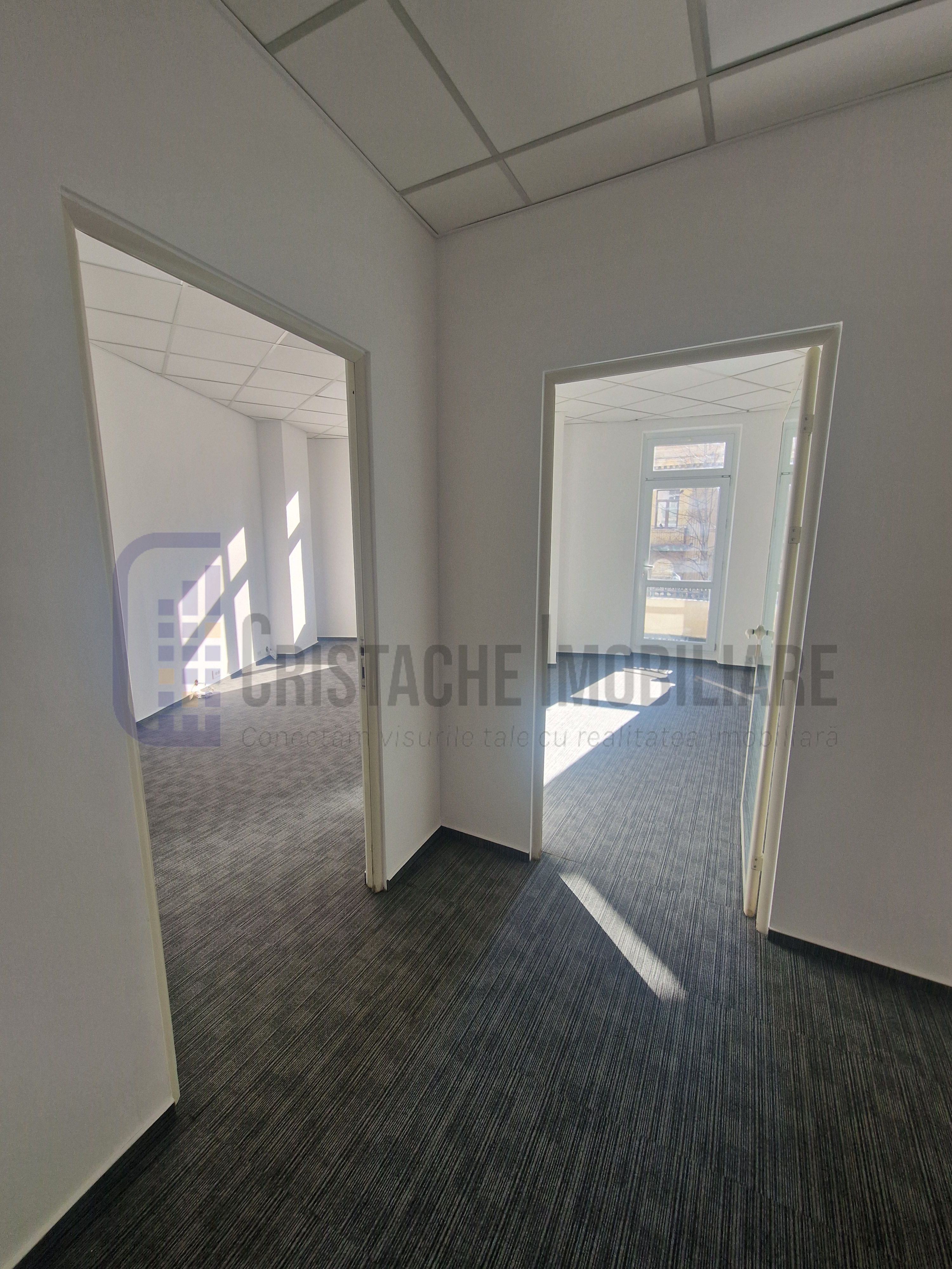 Spatiu birou, suprafate intre 40 m² si 2500 m² | Cismigiu/ Universitate — fotografia 4