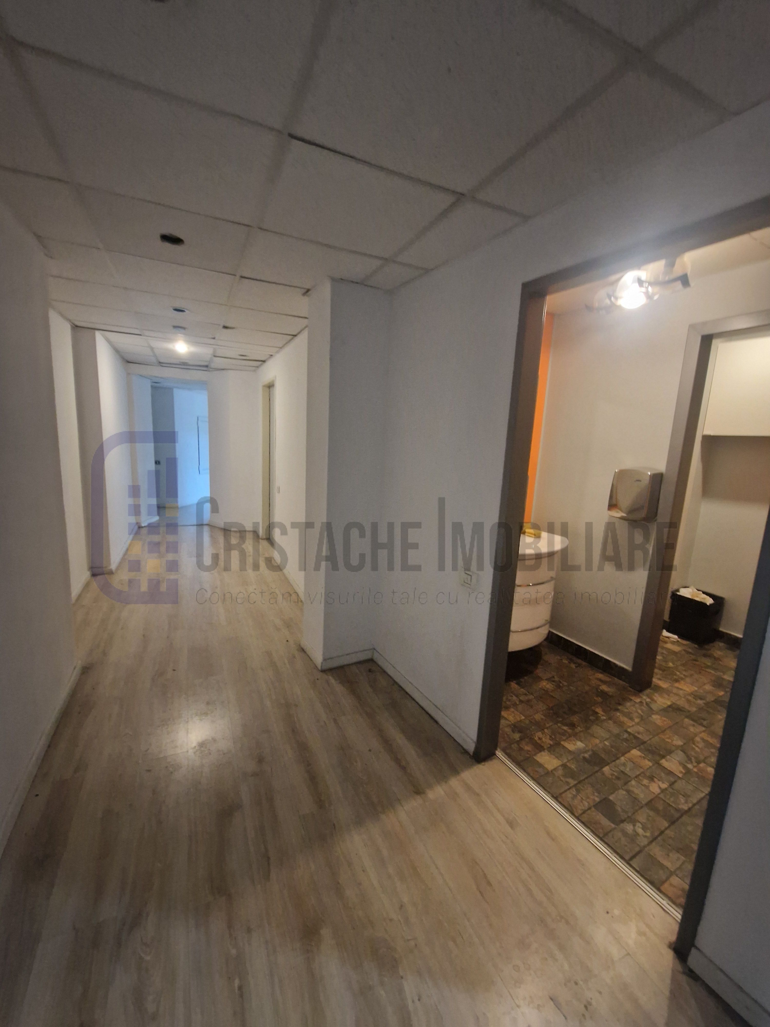 Spatiu birou, suprafate intre 40 m² si 2500 m² | Cismigiu/ Universitate — fotografia 8