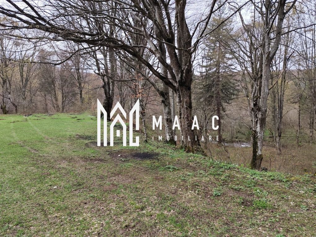 Teren Intravilan | 2000Mp | Valea Avrigului