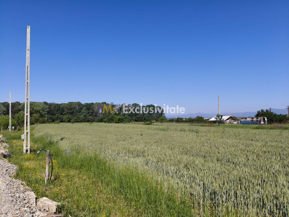 Teren 10.294 mp de vânzare Târgu Jiu | Intravilan + Extravilan | Utilități — fotografia 3