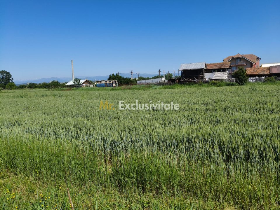 Teren 10.294 mp de vânzare Târgu Jiu | Intravilan + Extravilan | Utilități — fotografia 4