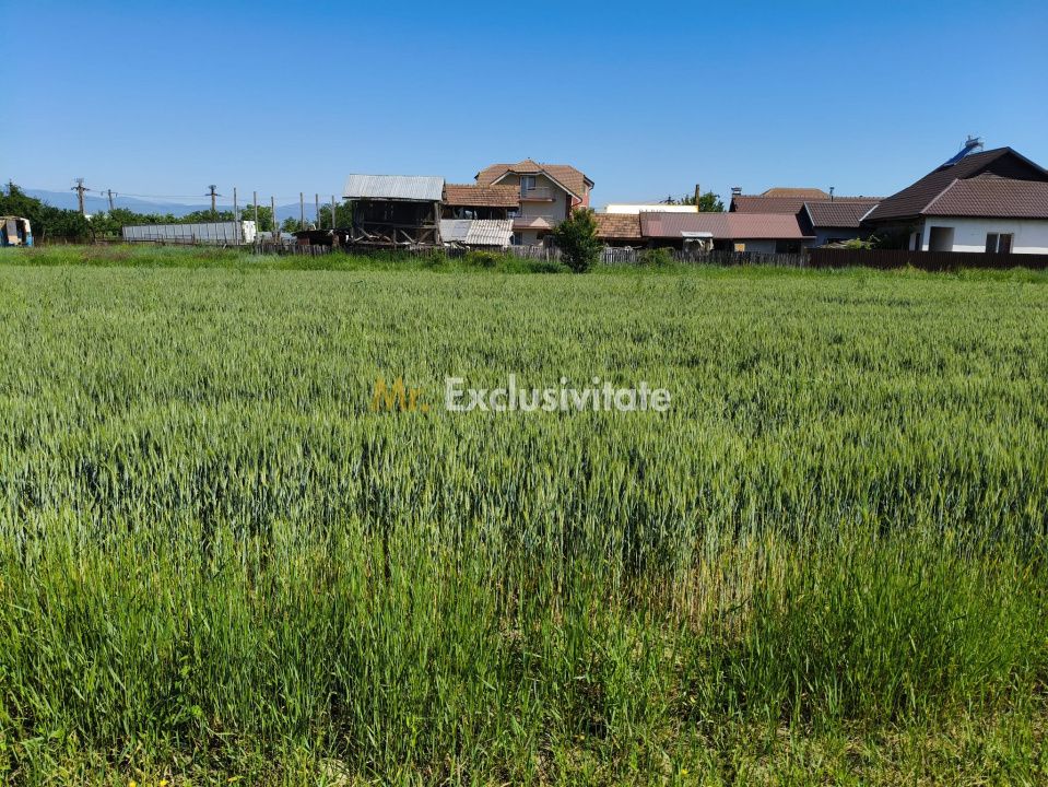 Teren 10.294 mp de vânzare Târgu Jiu | Intravilan + Extravilan | Utilități — fotografia 5