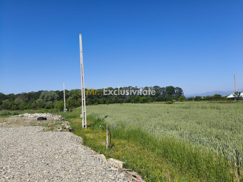 Teren 10.294 mp de vânzare Târgu Jiu | Intravilan + Extravilan | Utilități — fotografia 6
