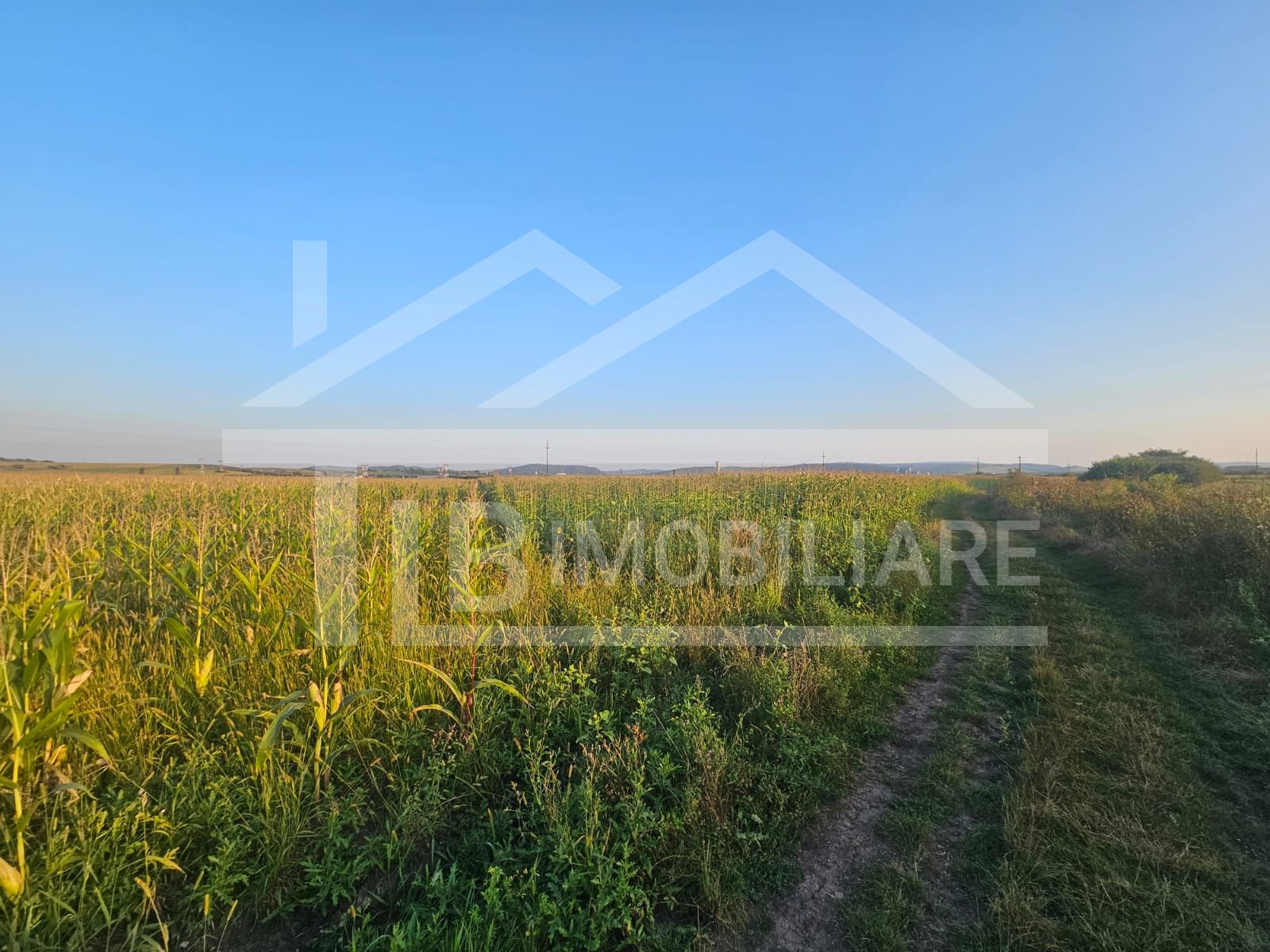 Teren intravilan, 1476 mp, Zona Ungheni — fotografia 4
