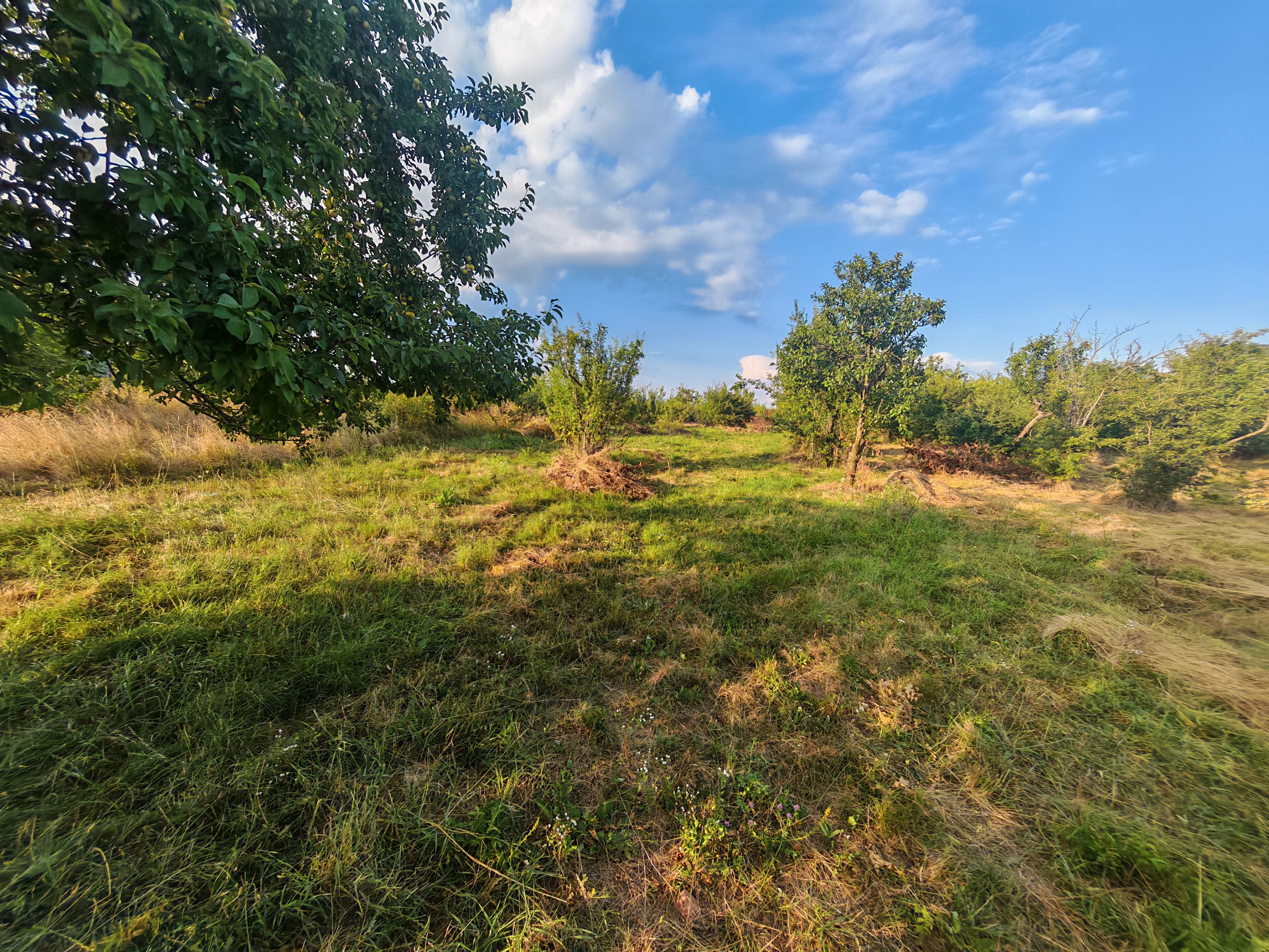 Teren intravilan 1.600 mp Mioveni – Zona Pruni — fotografia 6