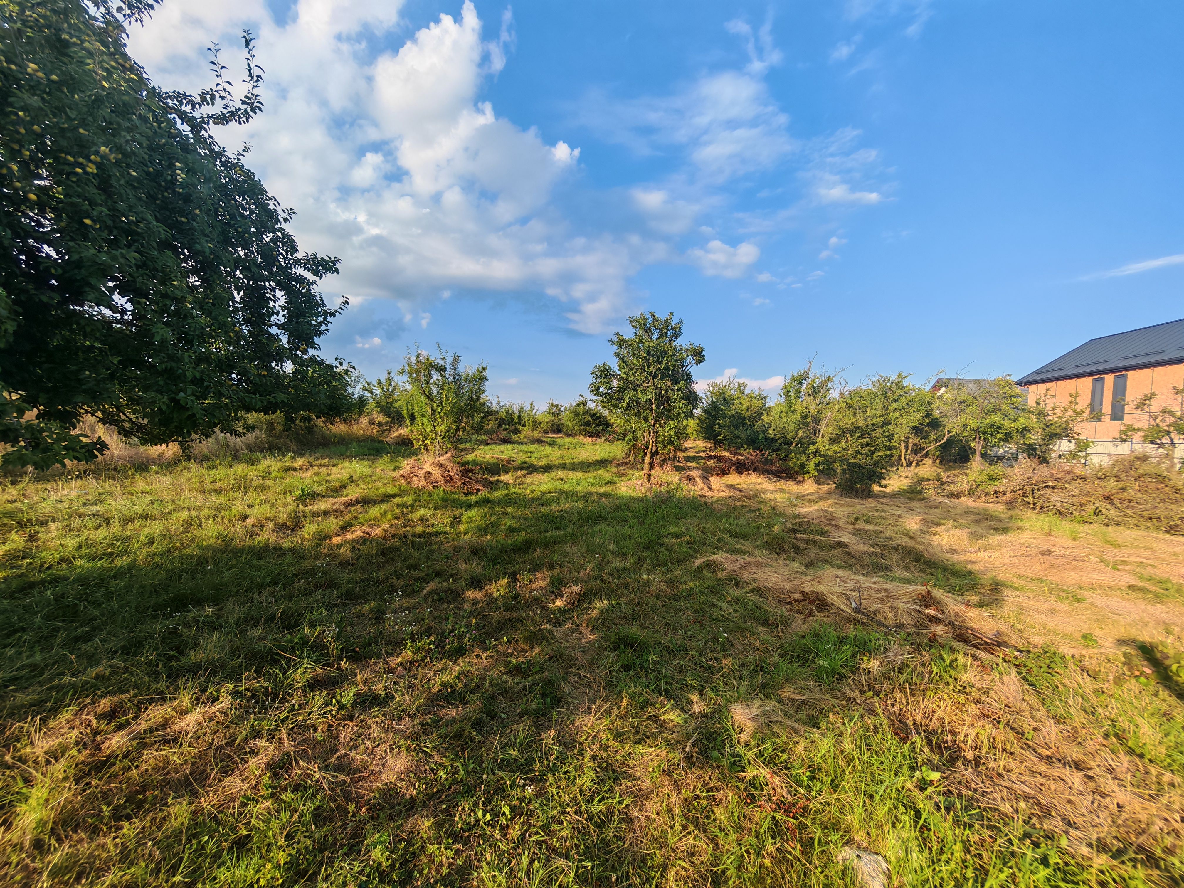 Teren intravilan 1.600 mp Mioveni – Zona Pruni — fotografia 7