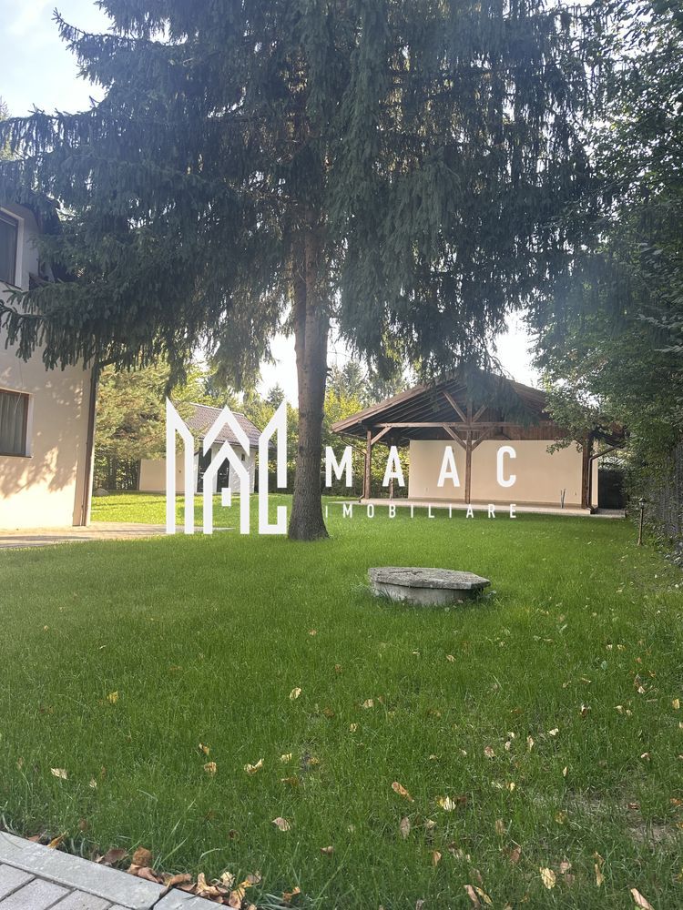 Oportunitate Valea Avrigului | Afacere la cheie |  Casa de vacanta | — fotografia 3
