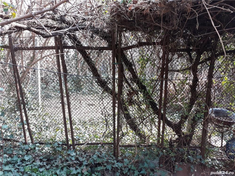 Casa zona Dacia Toamnei — fotografia 6