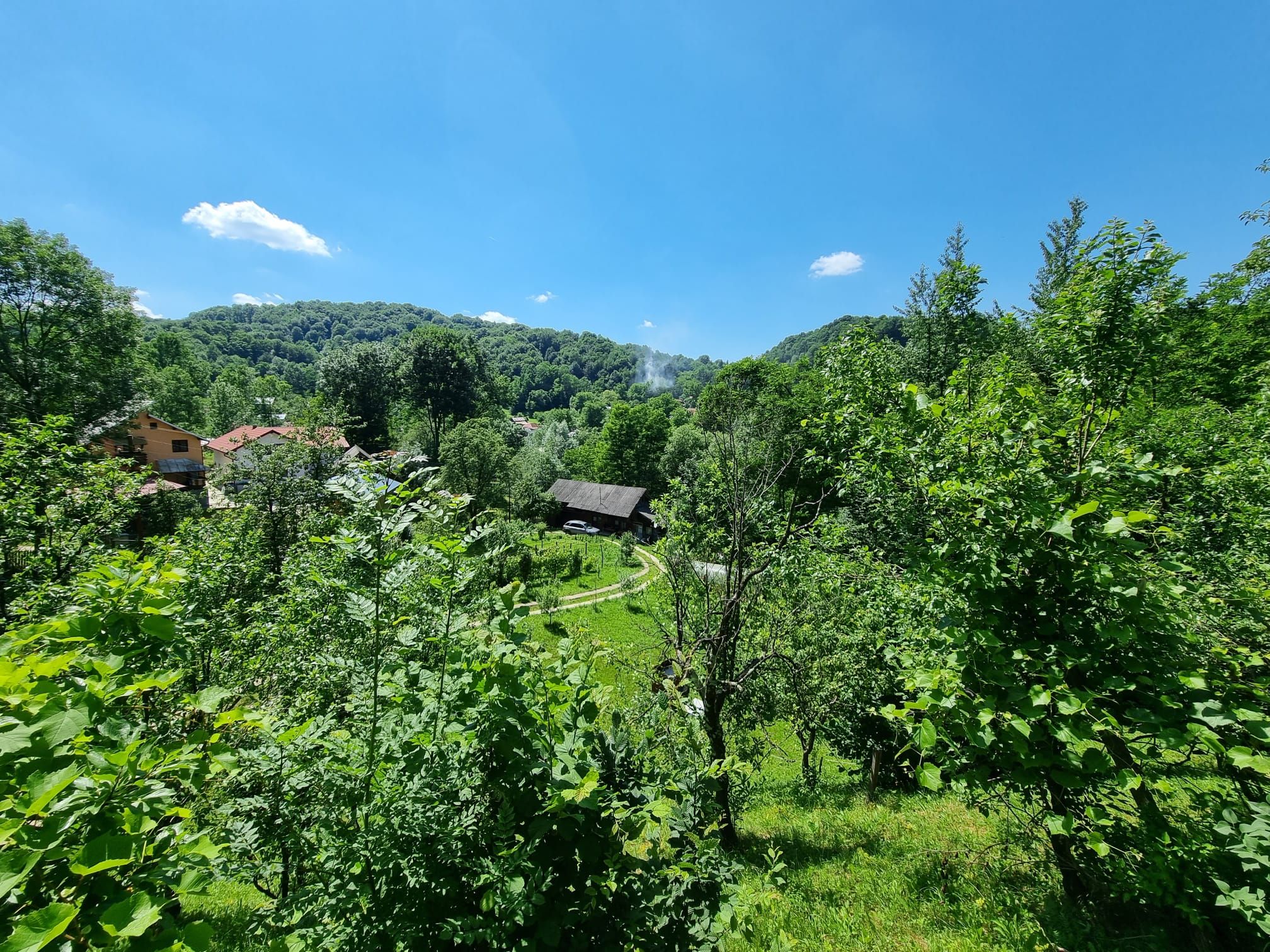 Casa de la marginea padurii! — fotografia 3