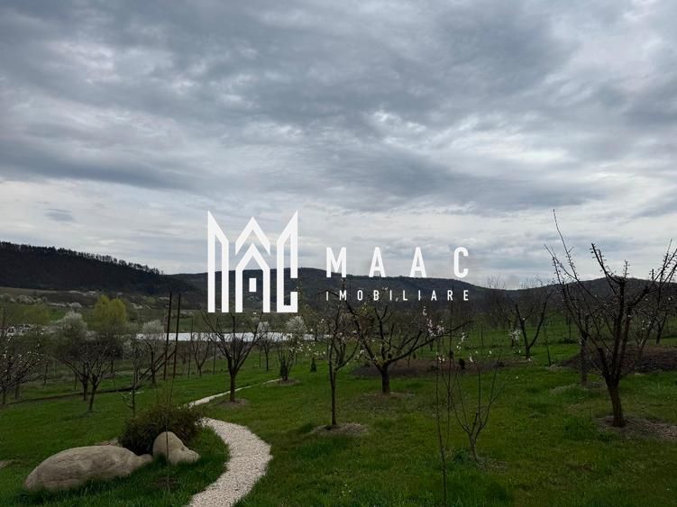 Casă 5 camere de vânzare | Bazna | 3 CF | 7.500 mp teren — fotografia 6
