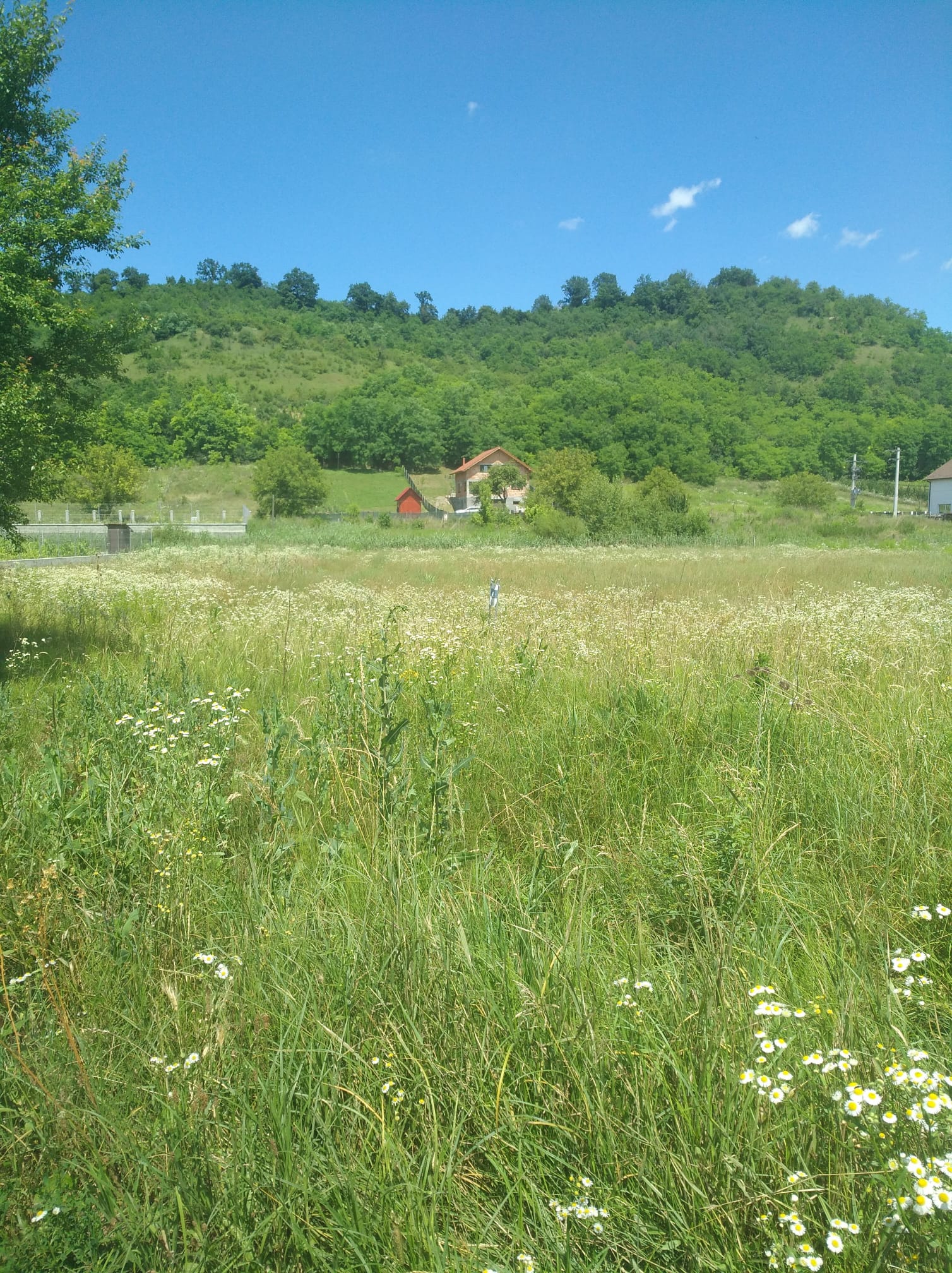 Vand teren intravilan,in Livezeni,900mp(9 ari),cu acte in regula.