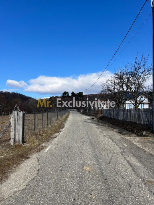 Teren Cicanesti Arges, la 10 KM de Transfagarasan - Comision 0% — fotografia 4