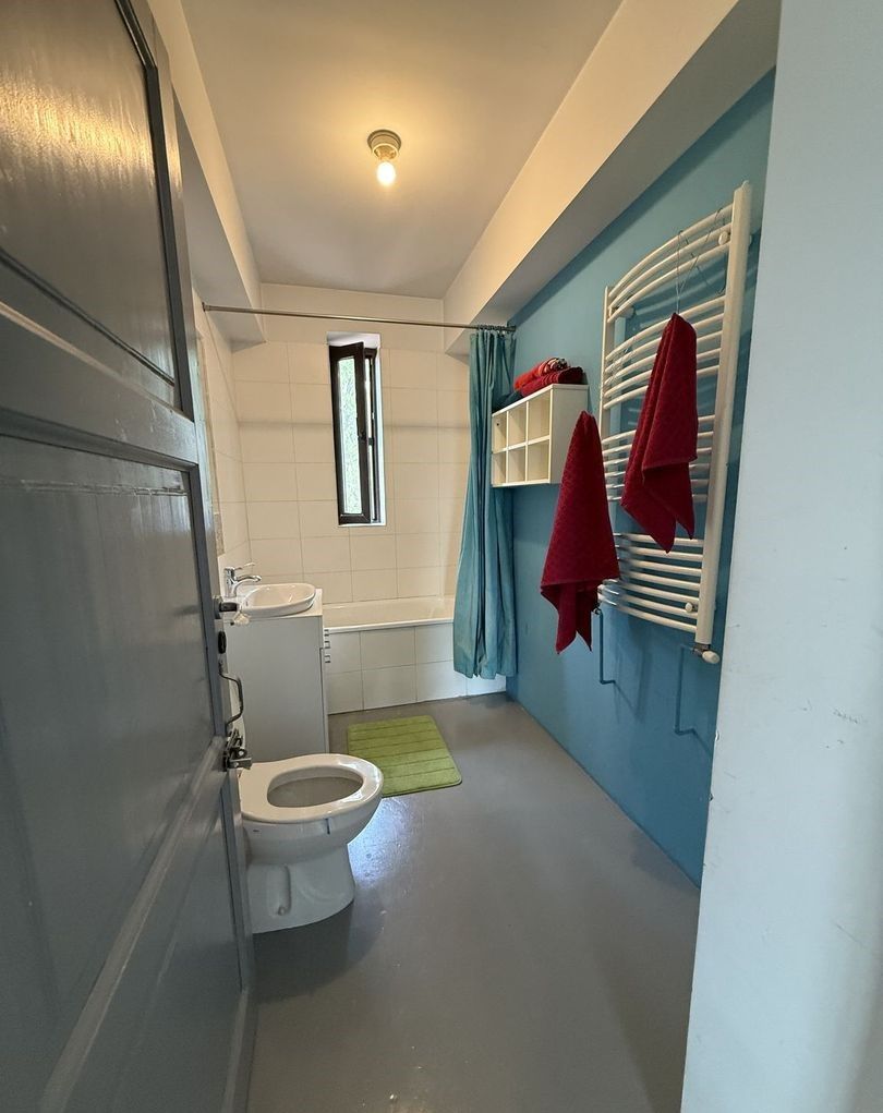 Vilă cu 6 camere de închiriat | Snagov - Vlădiceasca | Pet Friendly — fotografia 10