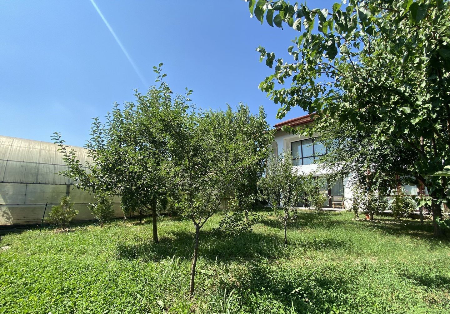 Vilă cu 6 camere de închiriat | Snagov - Vlădiceasca | Pet Friendly — fotografia 16