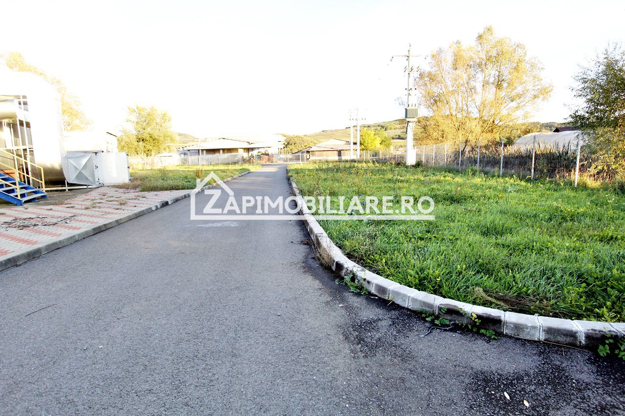 Spatiu de inchiriat Craiesti — fotografia 3