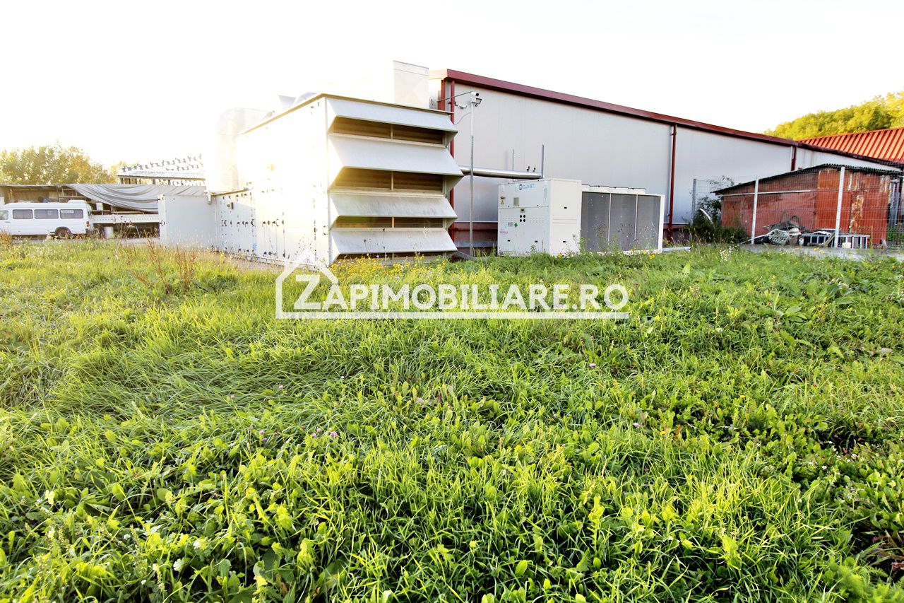 Spatiu de inchiriat Craiesti — fotografia 5