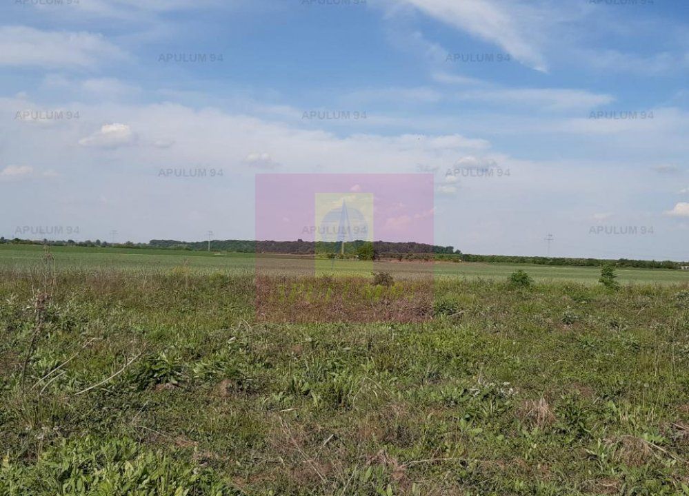 Teren aproape de Bucuresti langa padure — fotografia 5
