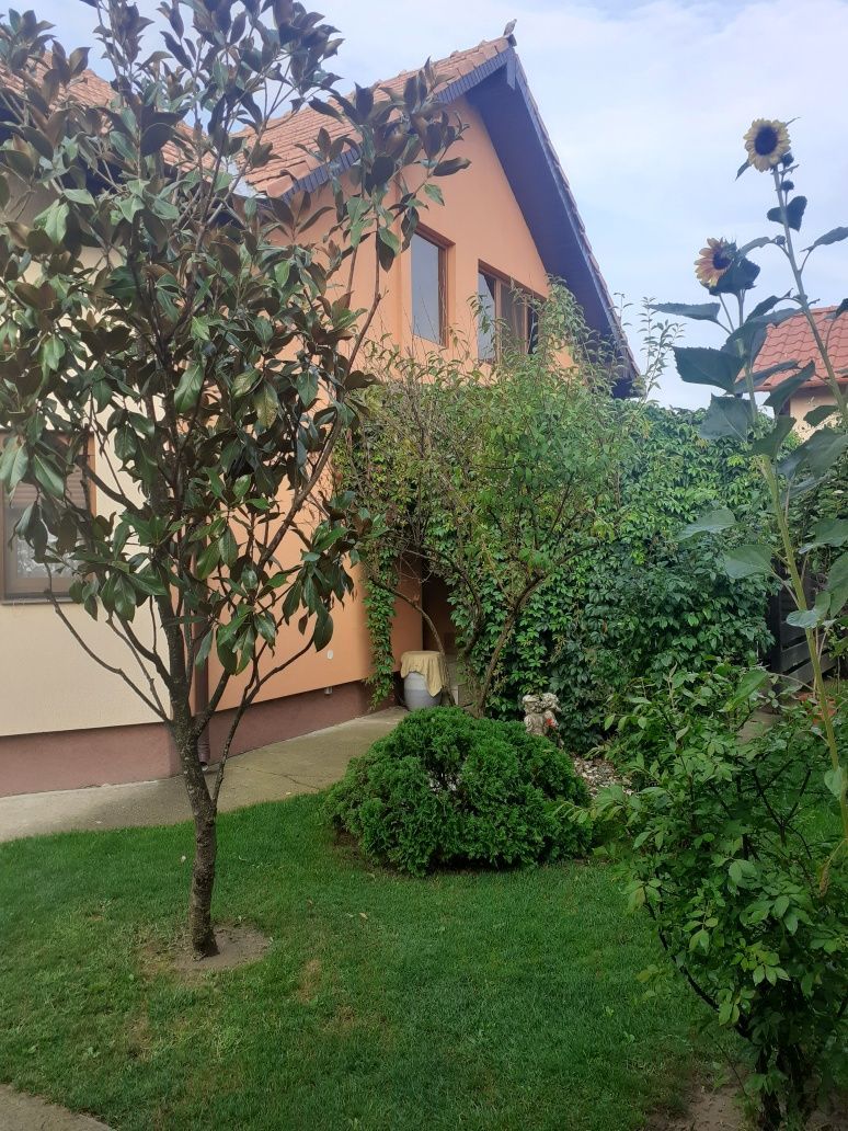 BRASADAS vinde casa cu 6 camere si teren 1200mp în Amati. — fotografia 3