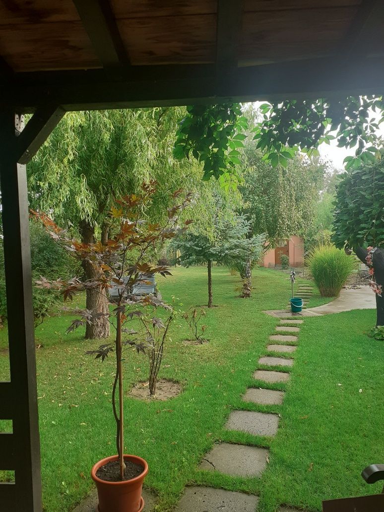 BRASADAS vinde casa cu 6 camere si teren 1200mp în Amati. — fotografia 4