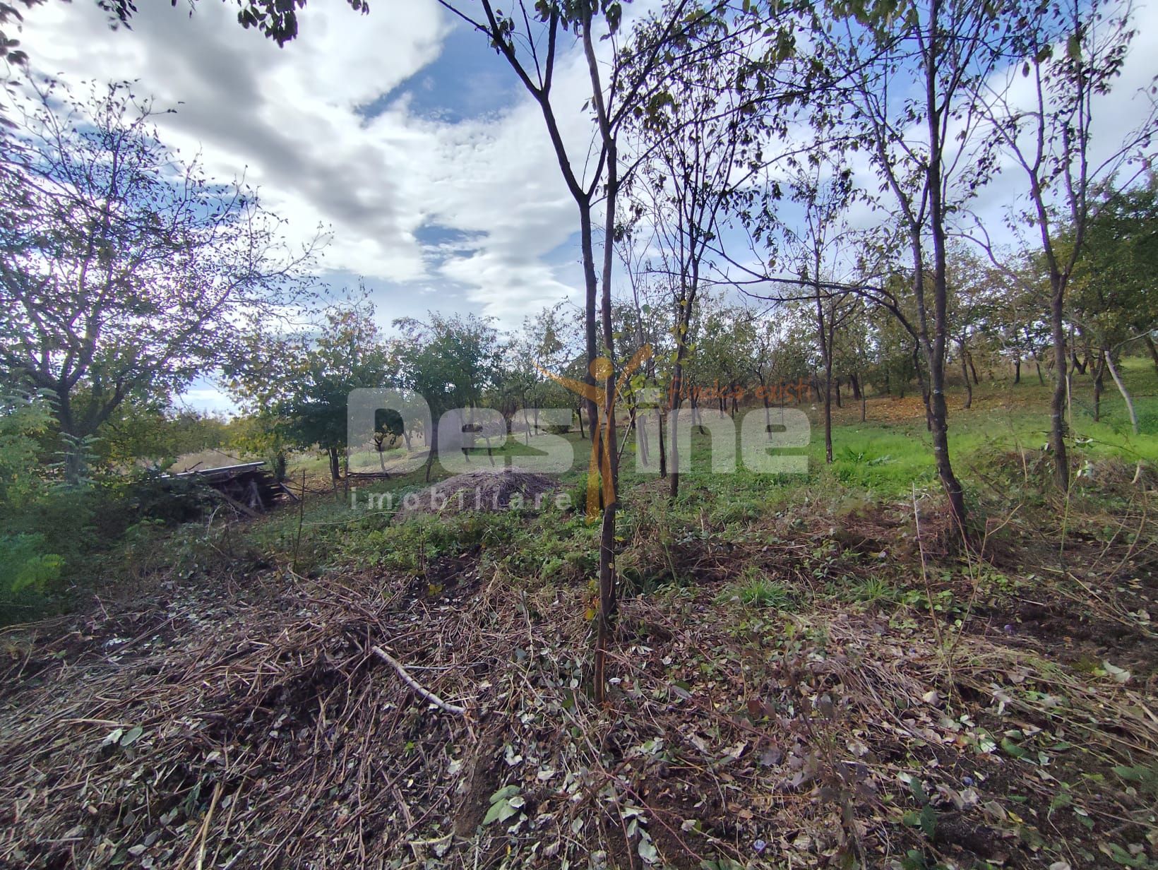 Teren Paulesti  intravilan 750 mp ! — fotografia 5