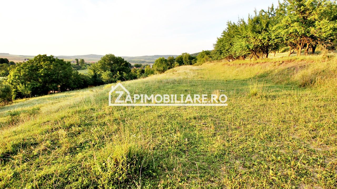 Teren Intravilan,5.000mp cu utilităti si proiect casă 12e mp