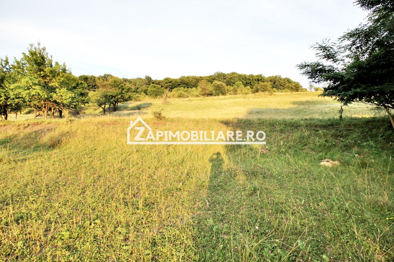 Teren Intravilan,5.000mp cu utilităti si proiect casă 12e mp — fotografia 5
