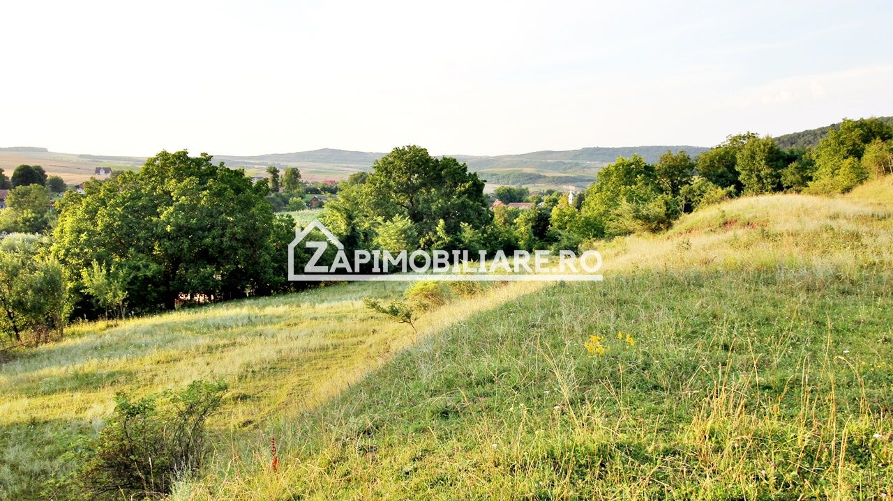 Teren Intravilan,5.000mp cu utilităti si proiect casă 12e mp — fotografia 7