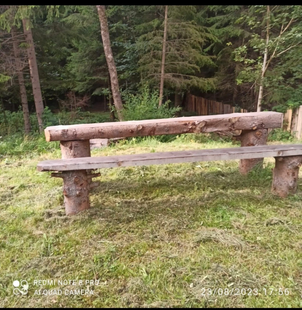 Teren agricol 1236 mp de vânzare în Corbu — fotografia 3