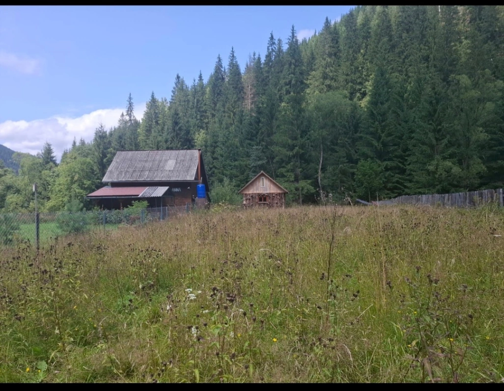 Teren agricol 1236 mp de vânzare în Corbu — fotografia 4