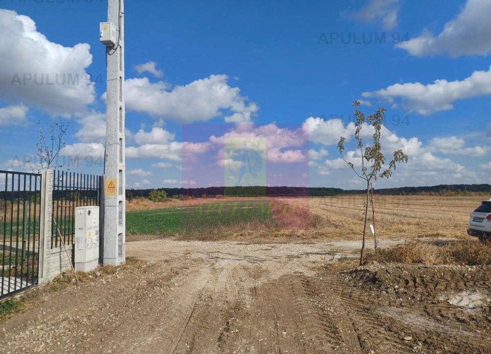 Gulia, teren intravilan curti-constructii, 516 mp, utilități aproape — fotografia 4