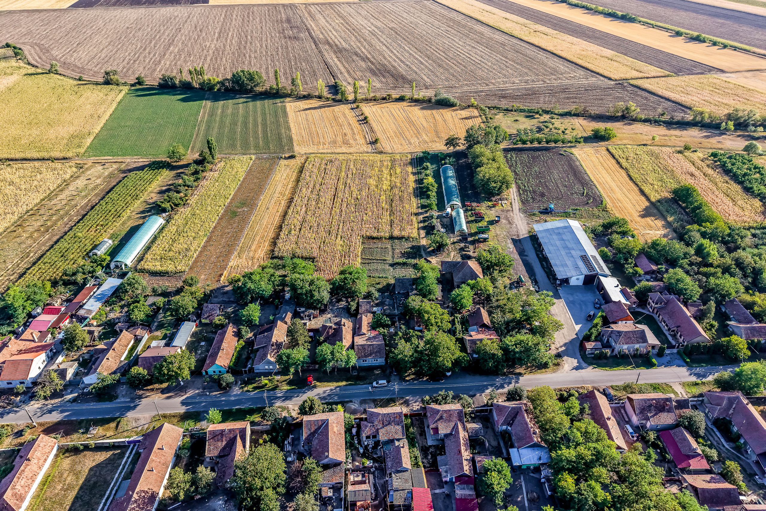 Casă cu teren 3.950 mp | Dorobanți | 63.500 € negociabil