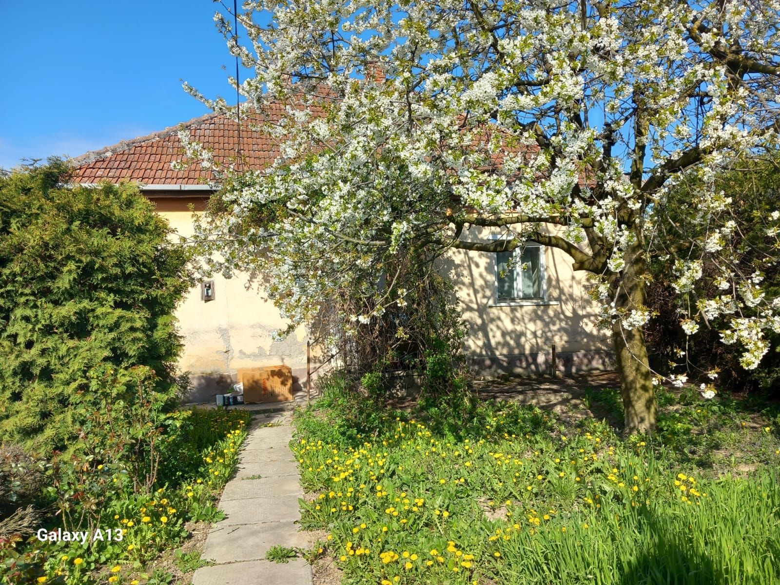 Ag EUROPA vinde casa cu 4 camere si teren de 60 ari in Ambud. — fotografia 4