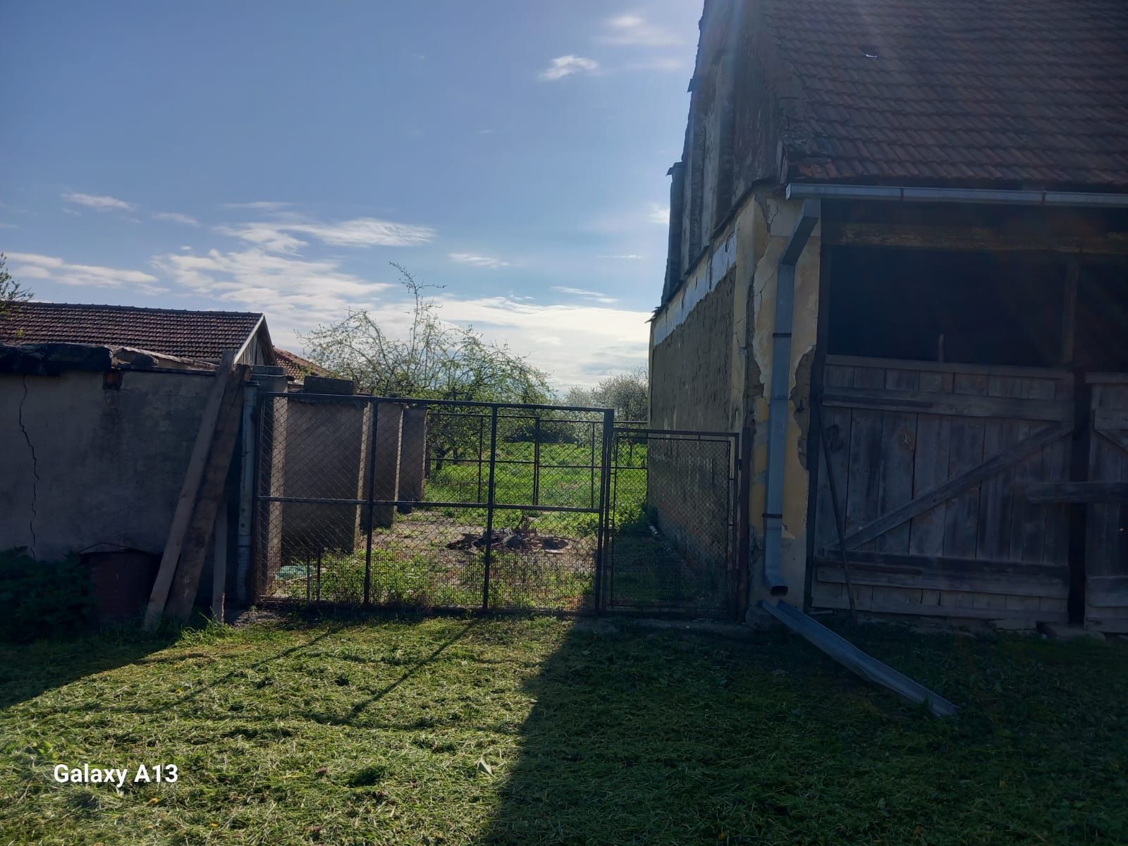 Ag EUROPA vinde casa cu 4 camere si teren de 60 ari in Ambud. — fotografia 5