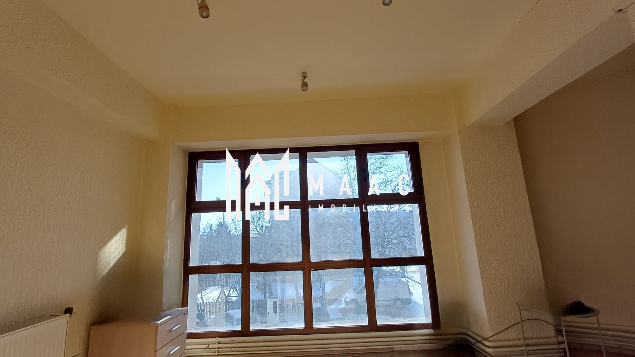 Spatiu comercial | 25 MPU | Turnisor — fotografia 3