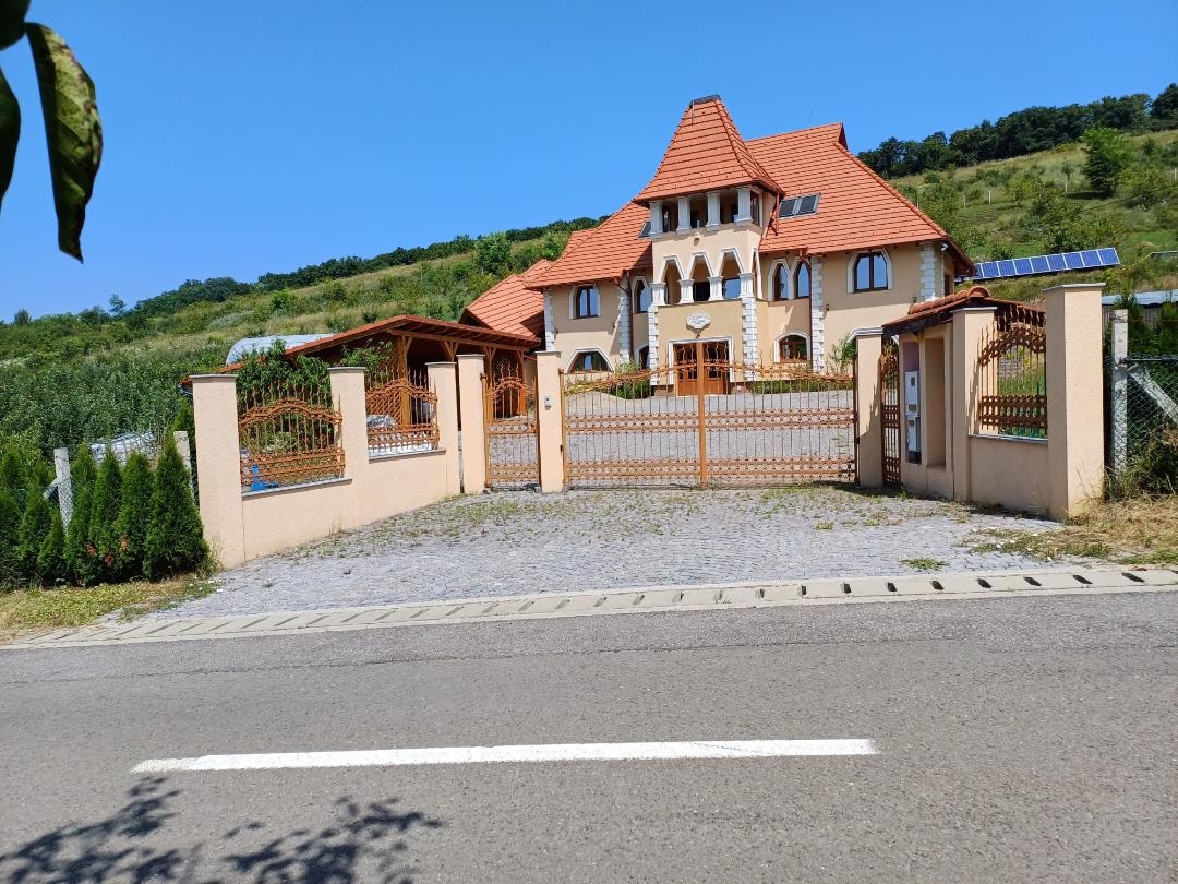 Vand o vila ( construita in stil castel ) deservita cu energii verzi D + P + M , cu teren de 9618 mp , construit intre anii 2010 -2014, in care se poate locui gratis, in zona Corunca,
