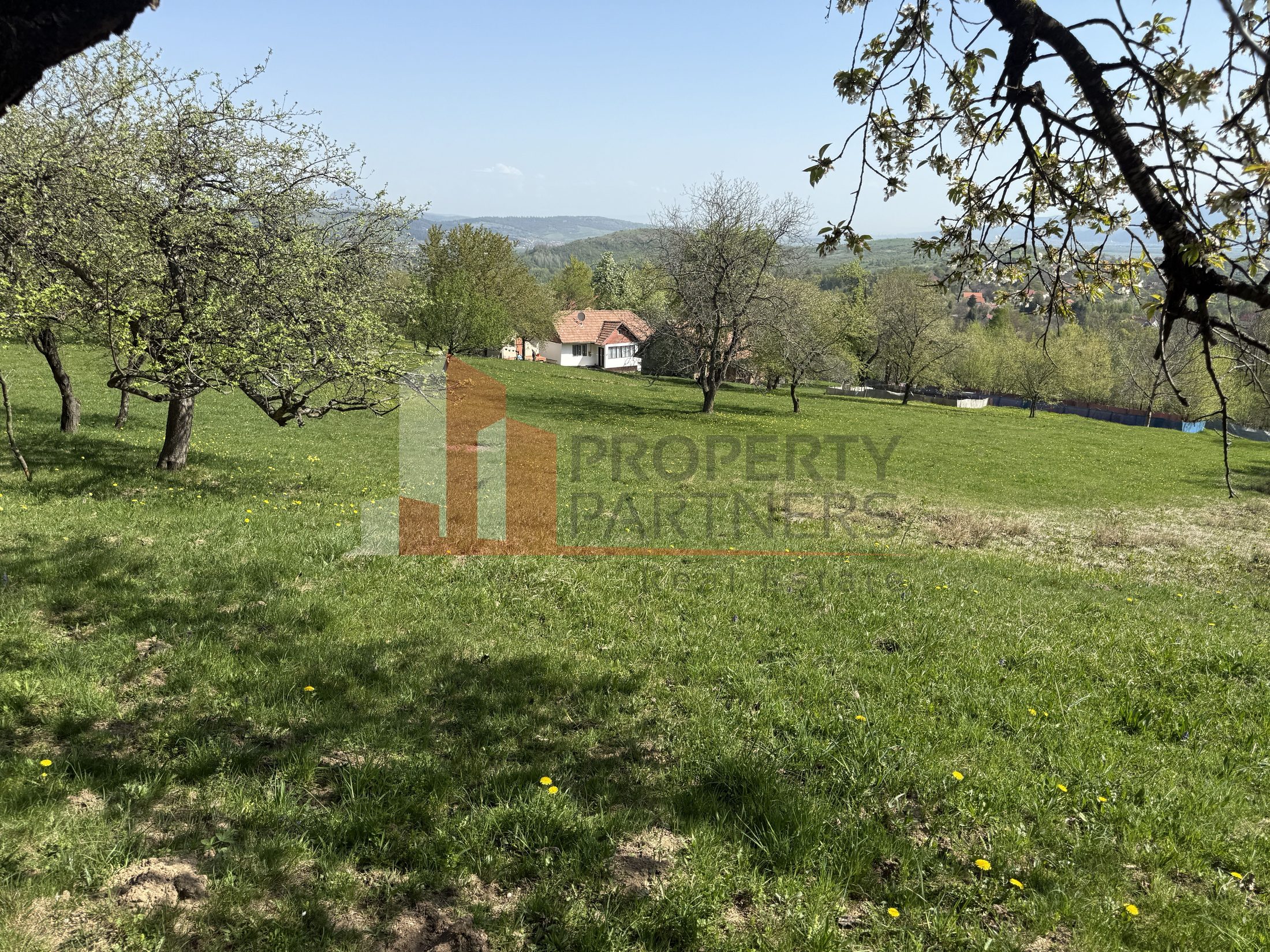 Terenuri Bran - Predelut  Priveliște către Bucegi și Postăvaru — fotografia 5
