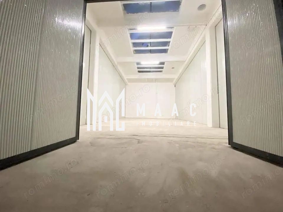 Hală de închiriat I 100 mp I Cisnădie, Sibiu — fotografia 2