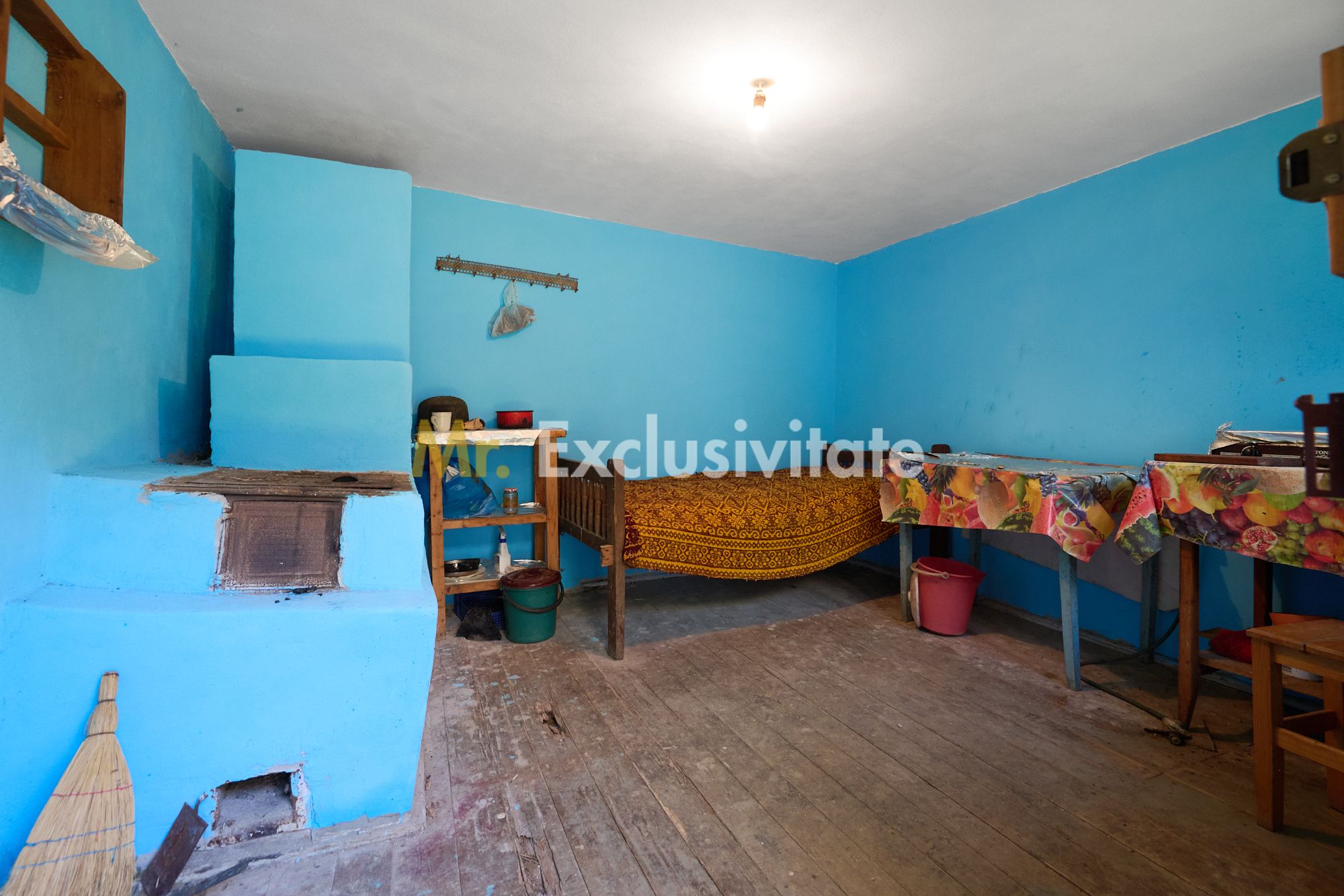Casa cu teren de 1.200 mp si livada–Badesti, comuna Pietrosani, Arges — fotografia 11